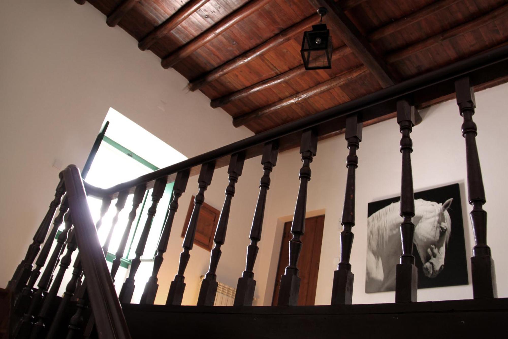 Alpalhão Quinta Dos Ribeiros 게스트하우스 객실 사진