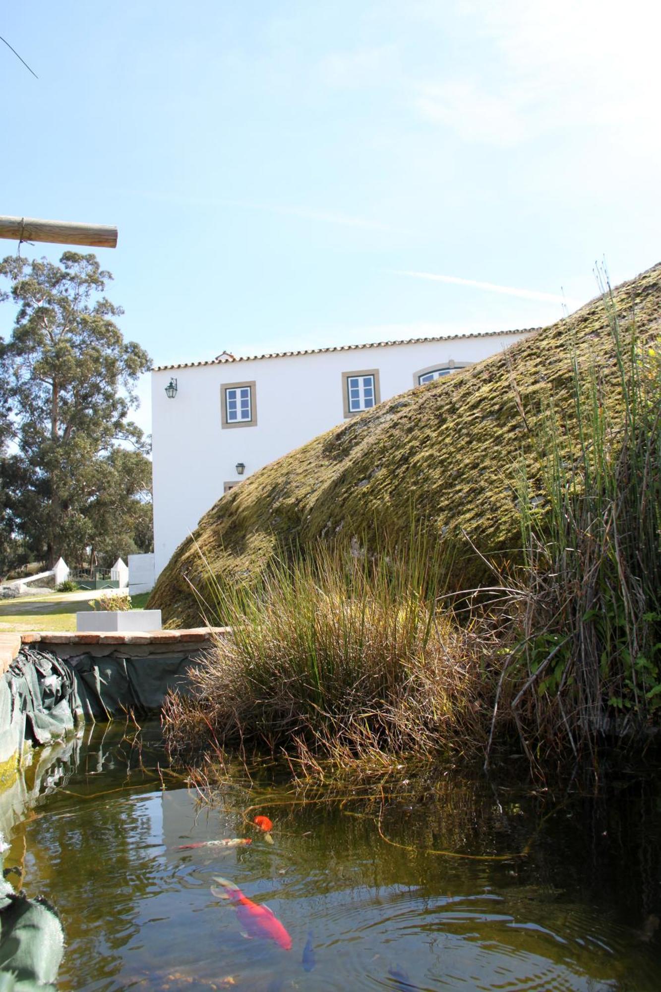 Alpalhão Quinta Dos Ribeiros 게스트하우스 객실 사진